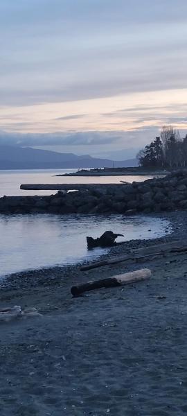 Cute Tiny Home At Park Sands Resort Parksville